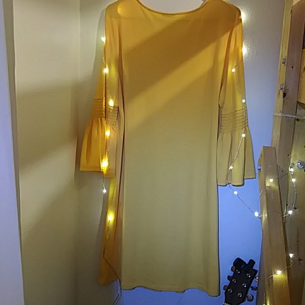 Dress - Picture 2 of 2